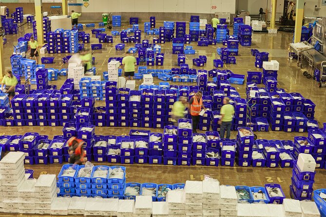 Sydney Fish Market Behind the Scenes Tour - Why the small group matters