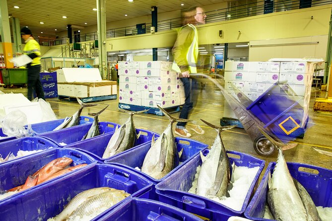 Sydney Fish Market Behind the Scenes Tour - What the 90 minutes to two hours feels like