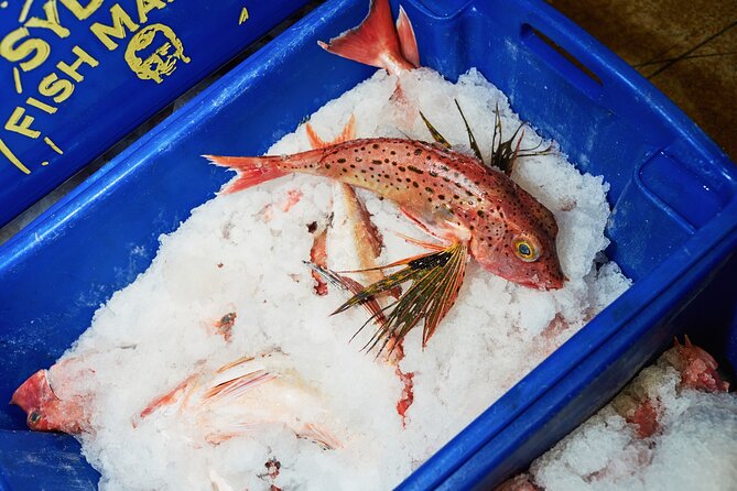 Sydney Fish Market Behind the Scenes Tour - Is the $57.38 price good value?