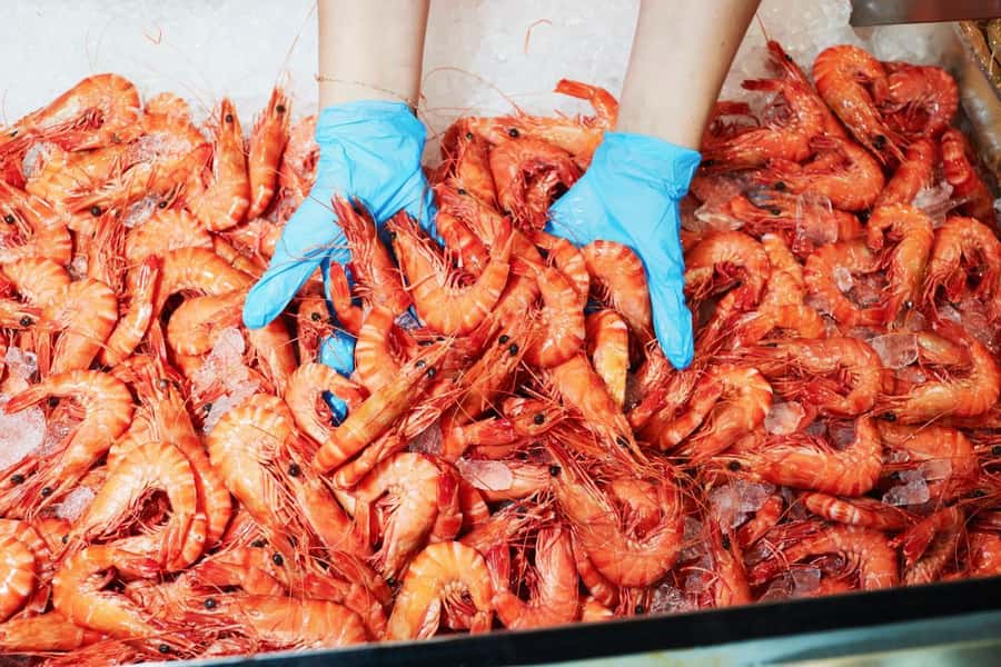 Sydney: Fish Market Food Tour - Why Sydney Fish Market makes a good food stop