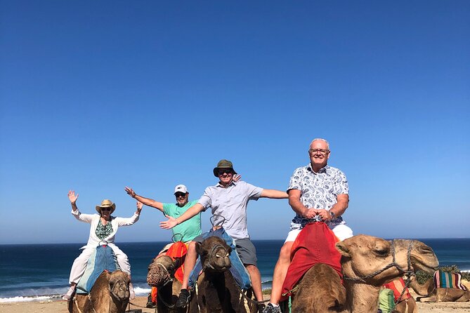 Tangier Private Tour :Medina ,souks, kasbah, caves & camel ride - A quieter pause at Perdicaris Park