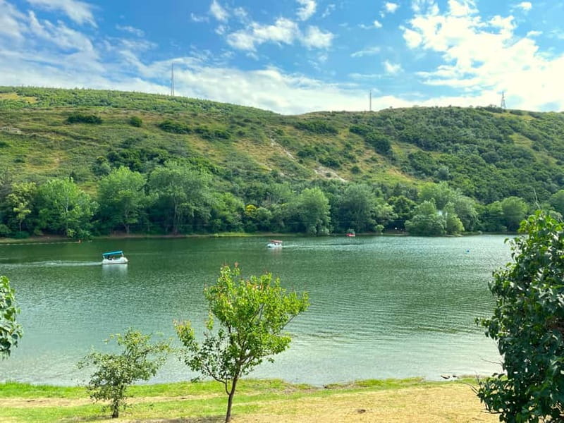 Tbilisi 2 Parks: Turtle Lake & Dedaena Park with Flea Market - Two Tbilisi parks, two different moods