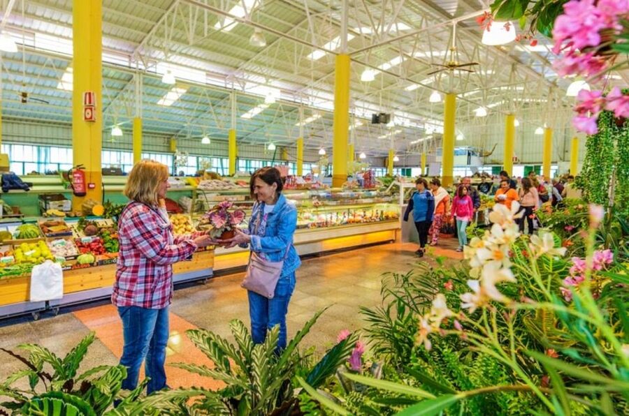 Teror and San Mateo Sunday Market - Key points at a glance