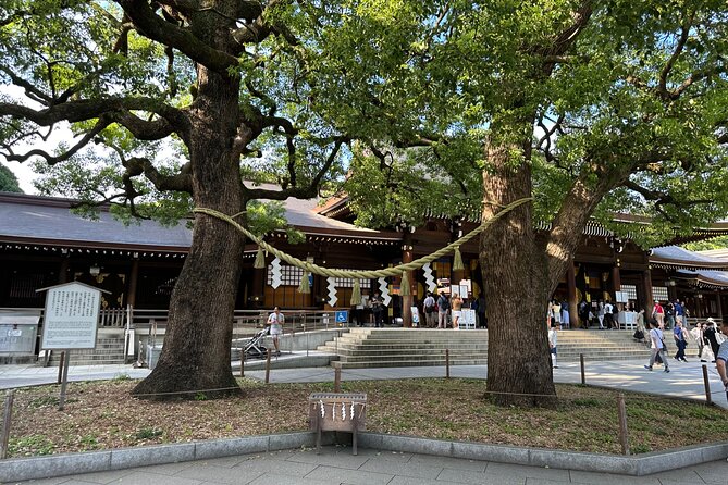Tokyo Morning Tour: Asakusa, Meiji Shrine and Tsukiji Fish Market - Who should book this Tokyo morning tour?