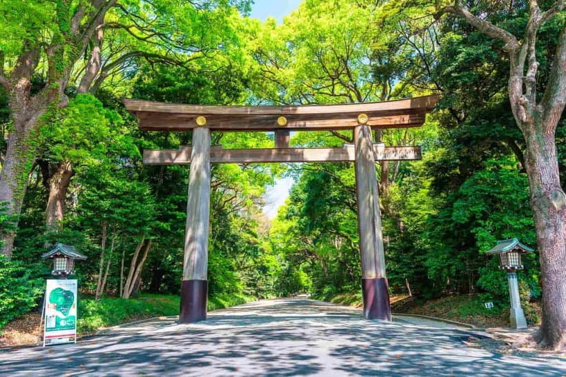 Tokyo Morning Tour: Meiji Shrine, Asakusa & Fish Market - Meiji Shrine: a quiet lesson in Shinto