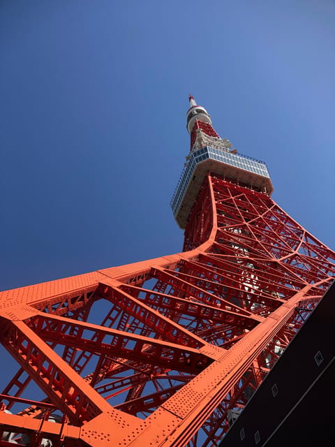 Tokyo Tours in Spanish (Tsukiji Market-Ginza-Tokyo Tower) - Booking details worth knowing