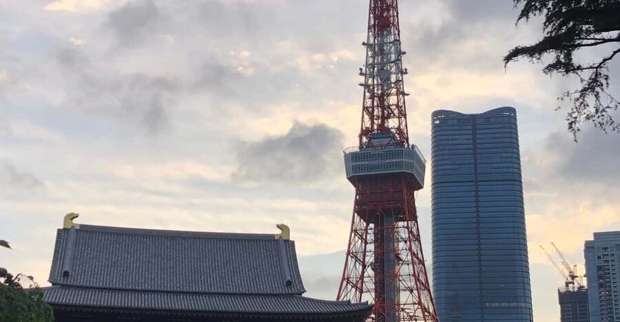 Tokyo Tours in Spanish (Tsukiji Market-Ginza-Tokyo Tower) - Ginza: polished streets, shopping, and a slower look at Tokyo