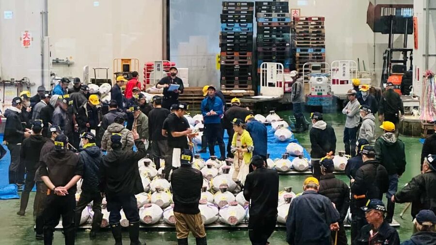 Tokyo: Toyosu Tuna Auction &Tsukiji Market Gourmet Adventure - 8:00 to 8:30 AM: Tsukiji’s small shops and local character