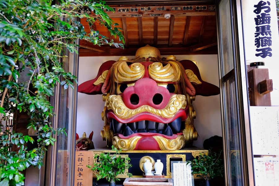 Tokyo : Tsukiji Fish Market Food Walking & Shrine Visit Tour - Timing, food needs, and the practical details