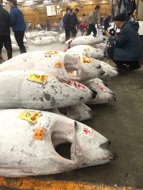 Tokyo: Tsukiji Fish Market Foodie and Educational Tour - Meeting outside Lawson at Tsukiji 4 chome