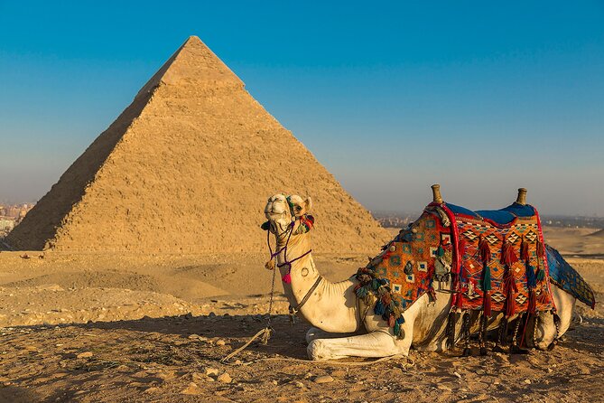 Tour of Most important Places in Cairo Giza Pyramids Egyptian Museum and Bazaar - The Egyptian Museum: King Tut and 65,000 objects
