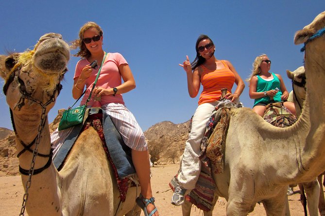 Tour to the Pyramids, Egyptian Museum and Local Bazaar from Cairo - The bazaar stop and the question of shopping