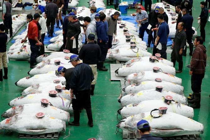 Toyosu Market Morning Tuna Auction and Tsukiji Food Tour with Licensed Guide - Why the tuna auction is worth the early alarm