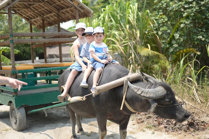 Traditional Cooking Class with Basket Boat Ride and market Tour - Cruising the Thu Bon River