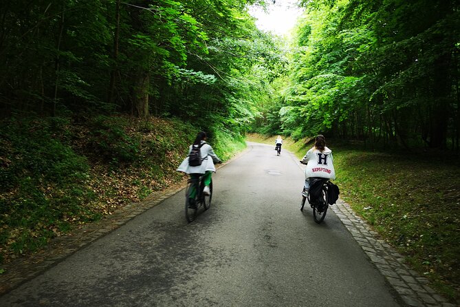 Versailles Full-Day Electric Bike Tour : Market, Picnic & Palace - Why this route makes Versailles feel different