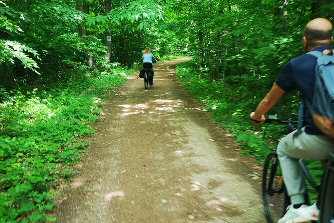 Versailles Full-Day Electric Bike Tour : Market, Picnic & Palace - The gardens need more than a quick glance