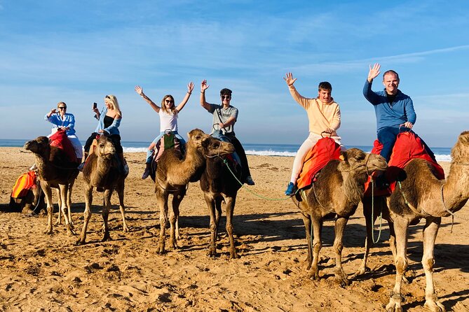 Walking Tangier Tour from ancient Kasba to Bustling Souks - Tangier’s medina and its maze of daily life