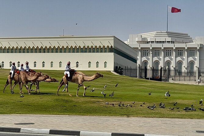 Walking Tour: Discover Souq Waqif, An Almost Free Walking Tour - Falcon market: an unusually close look at Qatari tradition