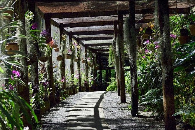 Wonders of Nadi Tour - Hindu Temple, Sleeping Giant Gardens, Markets & Shopping - What the guides add to the experience